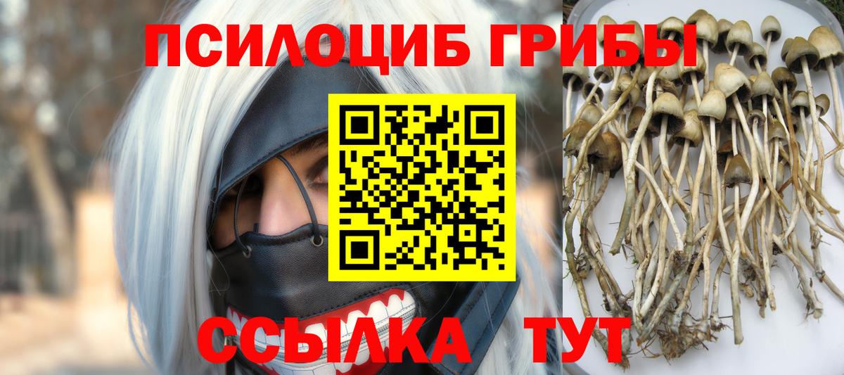 Галлюциногенные грибы мухоморы Мыски