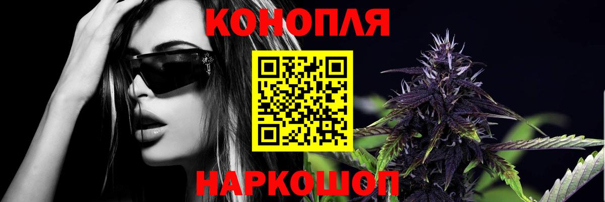 Каннабис OG Kush Мыски
